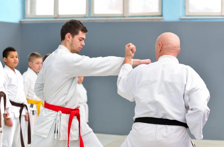 Martial Arts for Adults